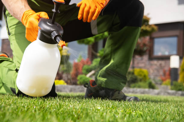 Best Wasp Removal Services  in Viola, IL
