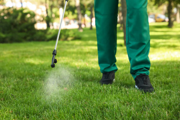 Best Ant Control Services  in Viola, IL