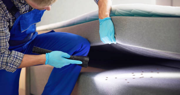 Best Emergency Pest Control  in Viola, IL