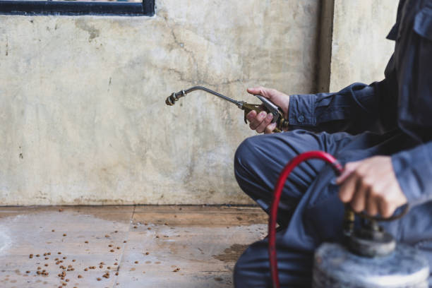 Best Pest Prevention Services  in Viola, IL