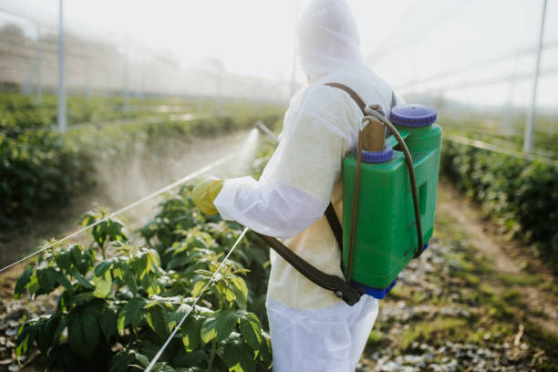  Viola, IL Pest Control Pros